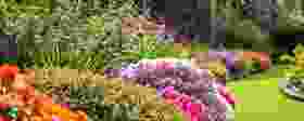 image-ed10be3