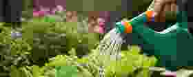 image-e609683
