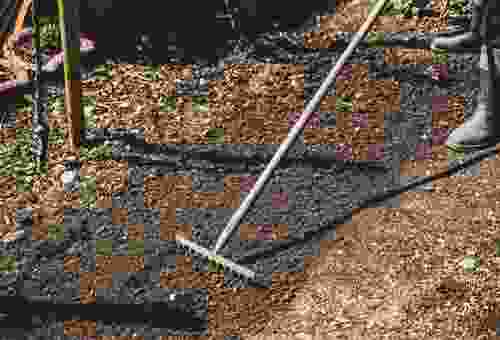 Timeline Image 3