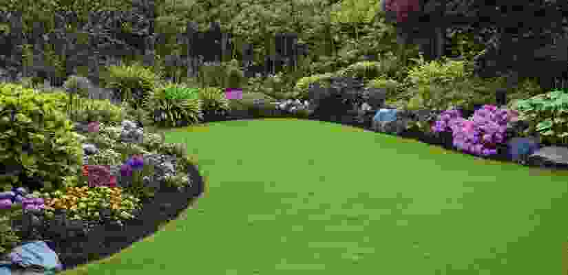 blog-detail-1-01