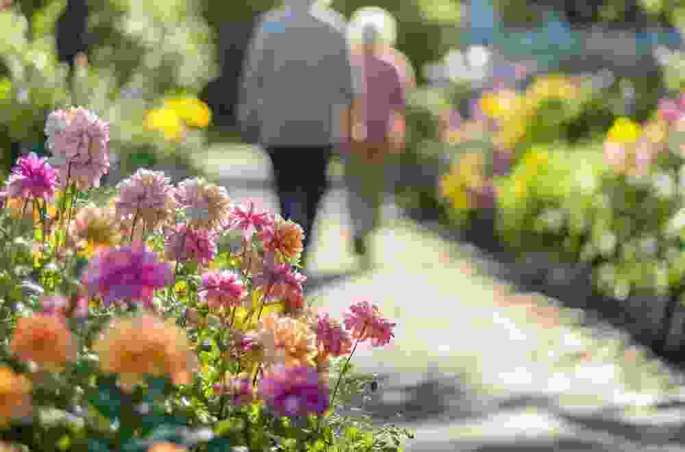 long-term-garden