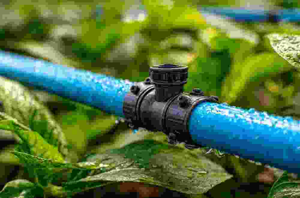 water-efficient