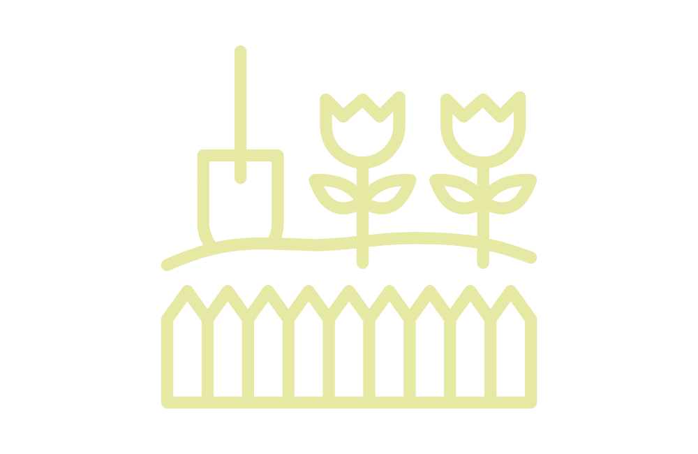 Timeline Image 4