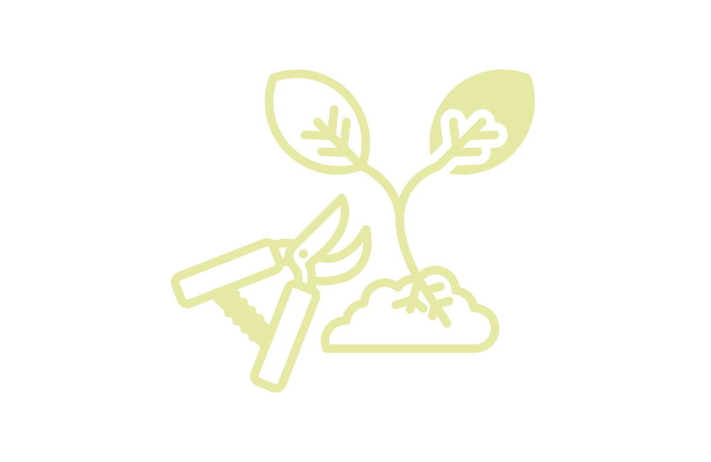 Timeline Image 5